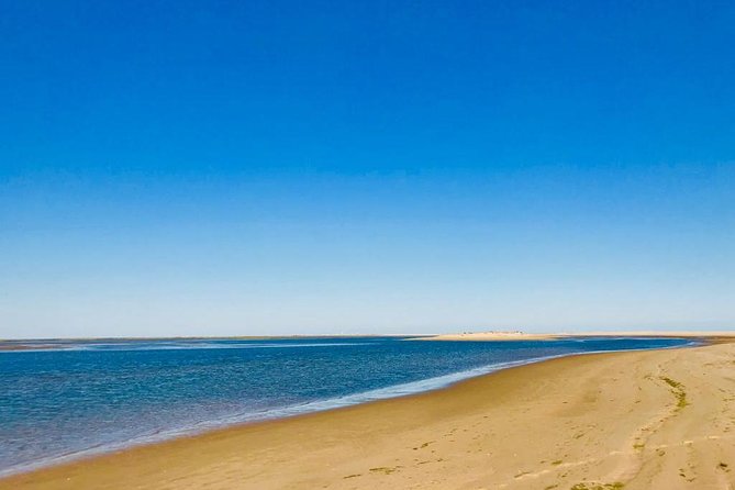 1 or 2 Hour Speed Boat Tour - Ria Formosa - Faro Marina Departure: How the 1–2 Hour Speedboat Tour Runs