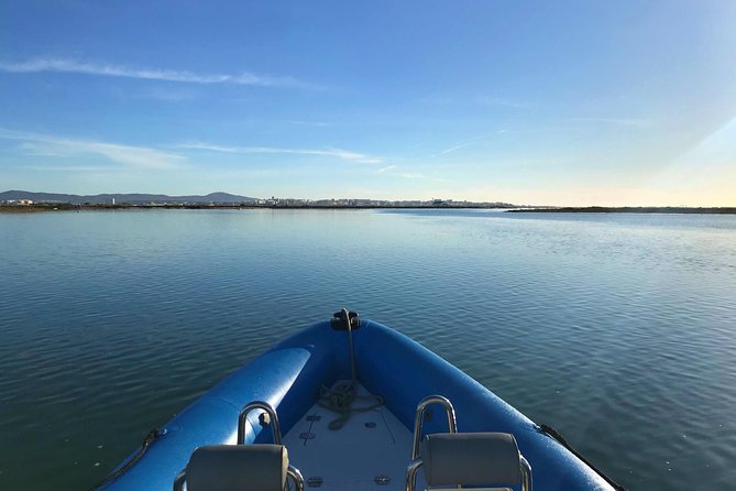 1 or 2 Hour Speed Boat Tour - Ria Formosa - Stop 1 at Ria Formosa Natural Park: Channels, Conservation, and Birds