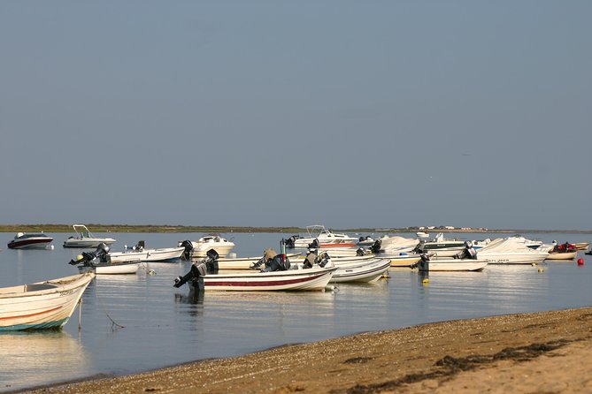 1 or 2 Hour Speed Boat Tour - Ria Formosa - Price and Value: Is $33.64 Worth It?
