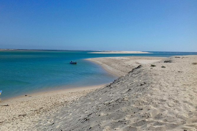 2-hour Bird Watching Guided Boat Trip in Ria Formosa from Faro Algarve - Following the Oyster and Clam Farms Into the Islands