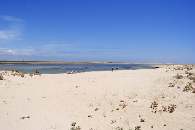 2-hour Bird Watching Guided Boat Trip in Ria Formosa from Faro Algarve - Price and Value: What You’re Actually Paying For