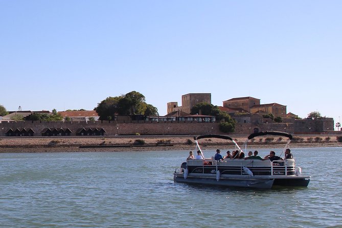 2-hour Bird Watching Guided Boat Trip in Ria Formosa from Faro Algarve - How the Guide Helps You Spot Storks, Egrets, Spoonbills, and More