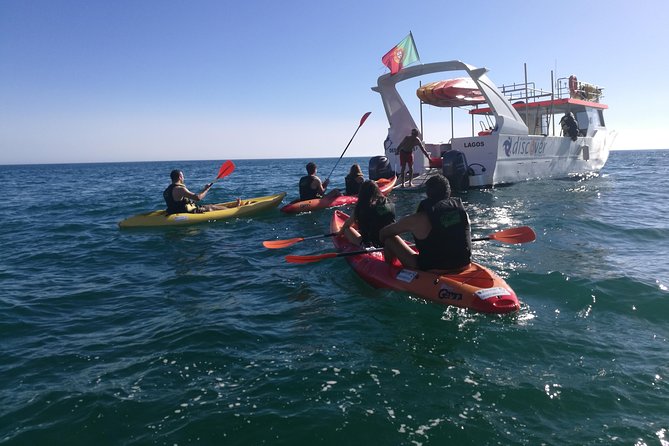 2-hour Kayak Tour of Ponta da Piedade Caves and Beaches - Why a Ponta da Piedade kayak beats looking from above