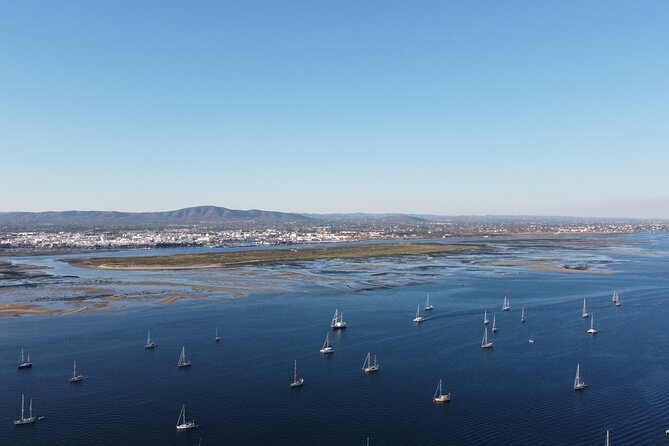 2 Hours Boat Tour Fishermen's Route in Ria Formosa - Comfort and logistics: what to know before you go