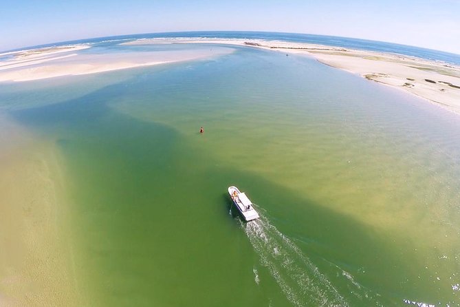2 Hours Boat Tour in Ria Formosa - The Island Stop: How to Make the Most of the Shore Time