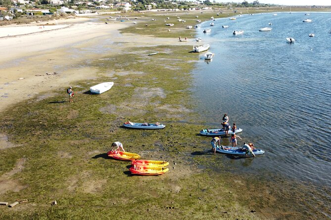 2 Hours Kayak Island Tour in the Natural Park of Ria Formosa - Gliding through the lagoon system: where wildlife fits in