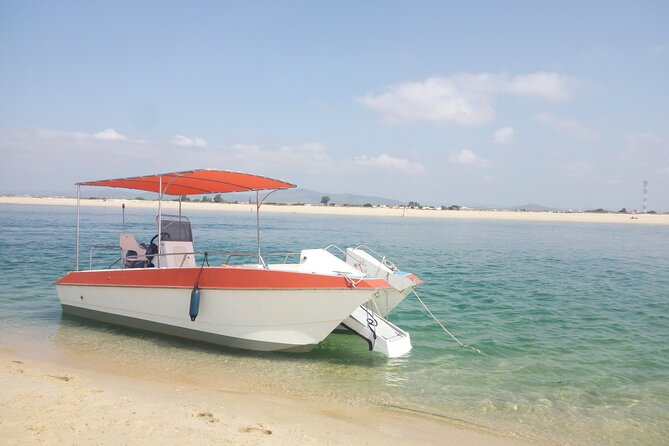 3 Hour Boat Tour in Ria Formosa - Stop 1 on Ilha da Culatra: a fishing community visit that stays human