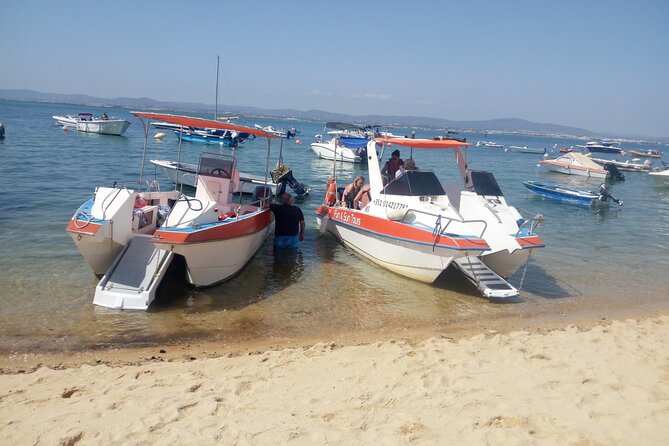 3 Hour Boat Tour in Ria Formosa - Small-group dynamics: why max 10 people matters on the water