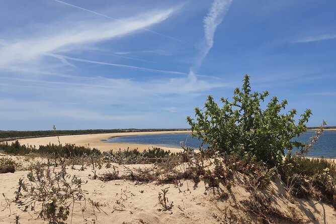 3 Hour Boat Tour in Ria Formosa - Tide timing and oyster pits: the one detail worth planning for