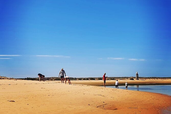 3 Hour Boat Tour in Ria Formosa - What’s included (and how to think about value)