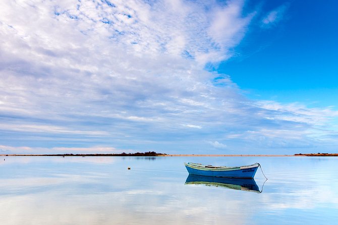 3-Hour Boat Tour in Ria Formosa on Olhão Algarve - The tide truth: when you’ll see more wildlife (and when you might not)