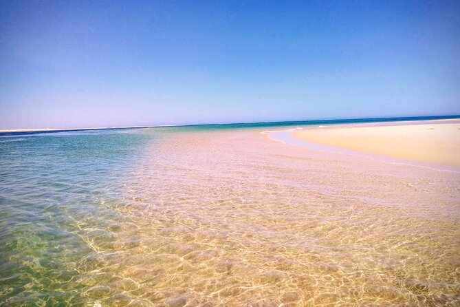 3 Hour Boat Tour in Ria Formosa - Your 3-hour rhythm: fishing village, protected water, then beach time
