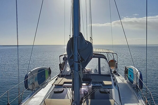 3 Hour Boat Trip to Ponta da Piedade - Lagos to Ponta da Piedade from the water: the Algarve’s best angle