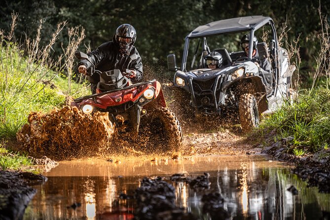 3-hour tour by Buggy or Quad in the Algarve - Choosing Your Vehicle: Buggy Seats vs Moto4