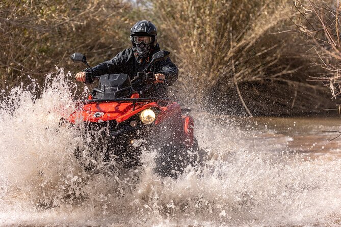 3-hour tour by Buggy or Quad in the Algarve - Small-Group Energy and Guide Style That Makes a Difference