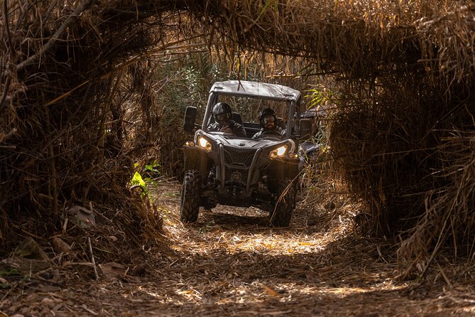 3-hour tour by Buggy or Quad in the Algarve - Getting the Most Out of the Ride: Practical Mindset