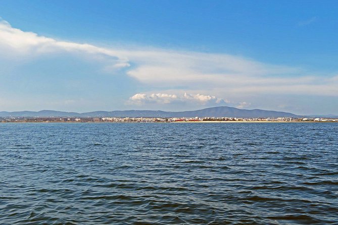 4-Hour Private Boat Tour in Ria Formosa - Price and what you really get for $503.27 per group