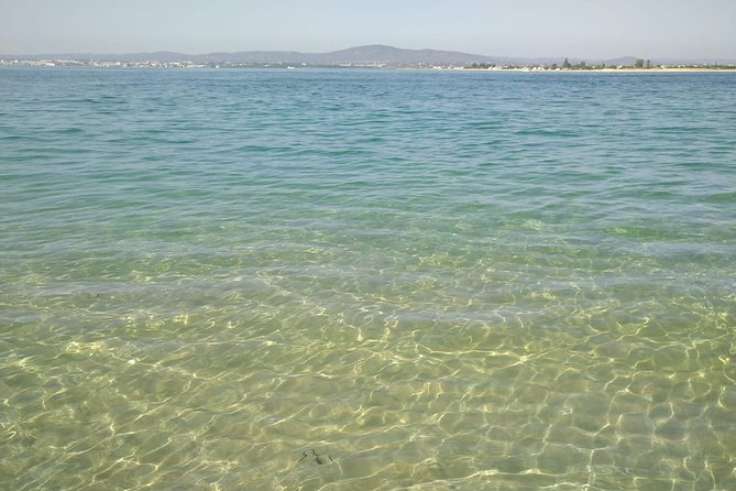 4-Hour Private Boat Tour in Ria Formosa - The meet-up at Sabino Boat Tours near Olhão (not far from Faro)