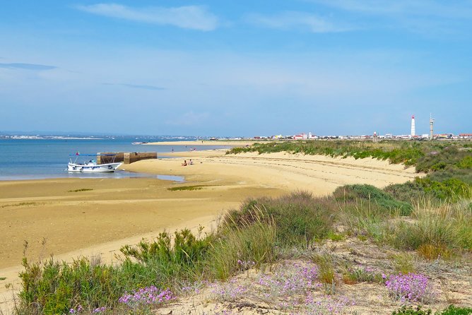 4-Hour Private Boat Tour in Ria Formosa - Ilha da Culatra: a short stop that can feel like the real Algarve