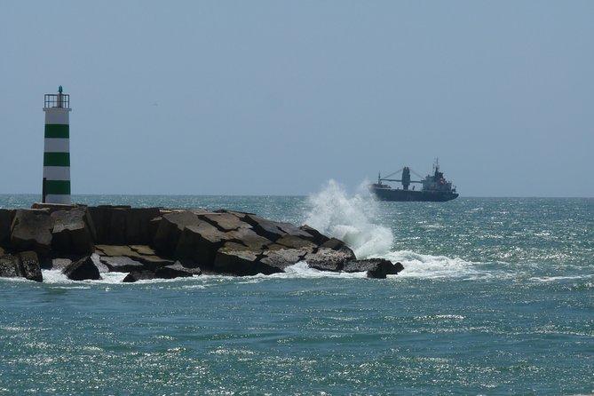 4 Stops | 3 Islands & Ria Formosa Natural Park - From Faro - A Faro catamaran through Ria Formosa’s tide-driven world