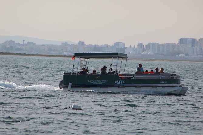 4 Stops | 3 Islands & Ria Formosa Natural Park - From Faro - Stop-by-stop: Barreta, Deserta, Farol, and Culatra (morning vs afternoon)