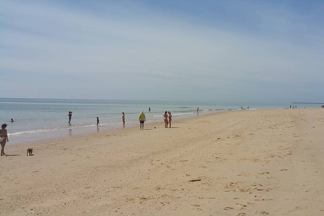 5-hour tour with 3 stops around the islands and beaches of Ria Formosa - How private transportation keeps the day easy