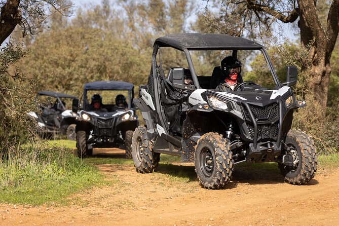 90-minute Buggy or Quad tour in the Algarve - Buggy vs quad: choosing the right vehicle for your group