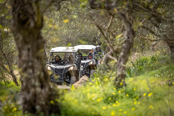 90-minute Buggy or Quad tour in the Algarve - Price and value: is $57.88 worth it?