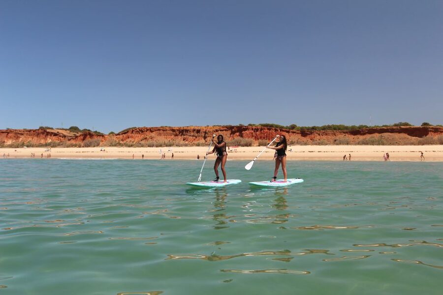 Albufeira: 1 Hour Stand-Up Paddleboard Experience - The One-Hour Adventure: What You Experience Out on the Water