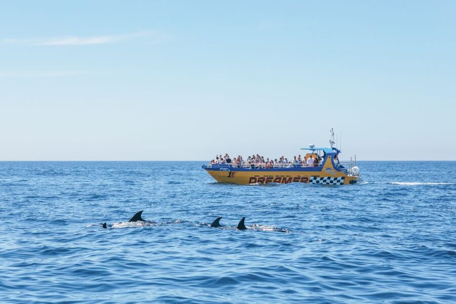 Albufeira: 2.5-Hour Benagil Caves & Dolphin Watching - Price and value: why $40 can make sense here