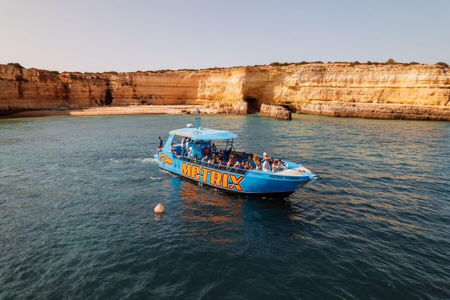 Albufeira: 2.5-Hour Dolphin Watching and Caves Trip - Dolphin watching in the wild: how the search works