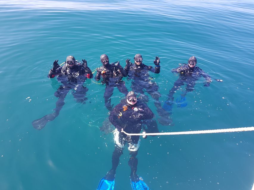 Albufeira: 2 DIVES TRIP (ONLY CERTIFIED DIVERS) - Morning Setup at Easydivers Dive Centre (Marina de Albufeira)