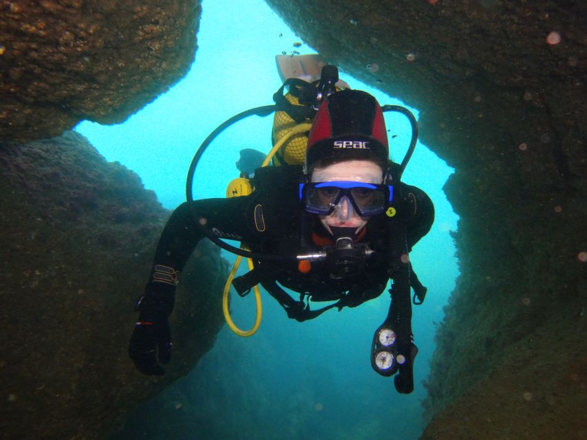 Albufeira: 2 DIVES TRIP (ONLY CERTIFIED DIVERS) - What You’ll See: Walls, Reefs, and Target Species