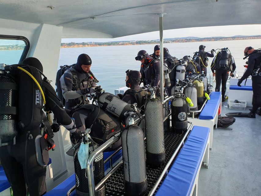 Albufeira: 2 DIVES TRIP (ONLY CERTIFIED DIVERS) - Price and Value: Why This Works for Certified Divers