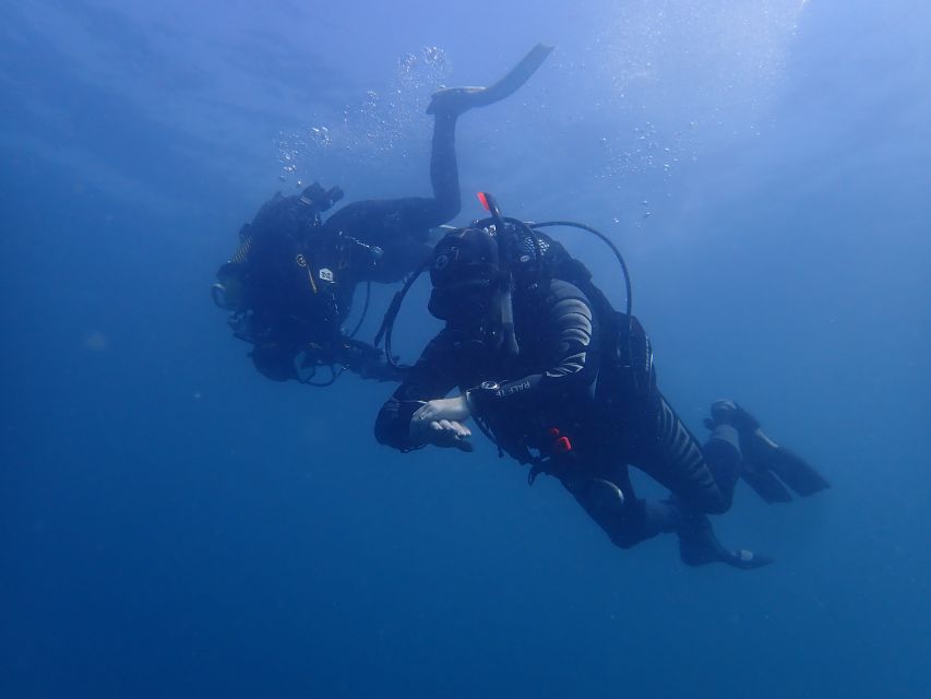 Albufeira: 2 DIVES TRIP (ONLY CERTIFIED DIVERS) - Two Underwater Stops: Natural Reef Meets Artificial Reef