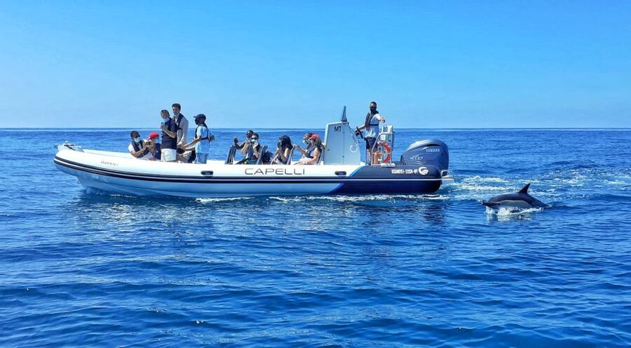 Albufeira: Benagil Cave and Dolphin Sightseeing Boat Cruise - Key things I’d watch for on the Benagil and dolphins cruise