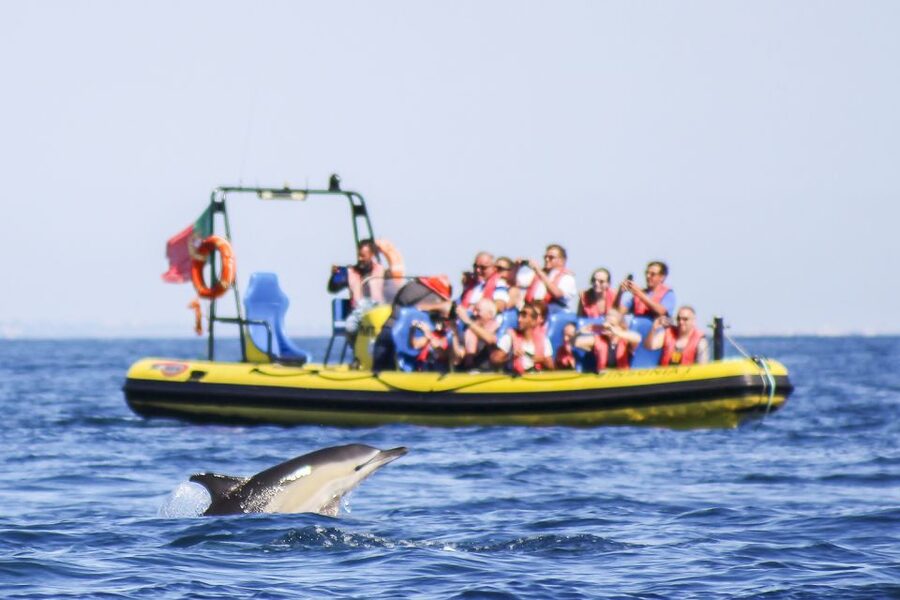 Albufeira: Benagil Caves & Dolphin Watching Speed Boat Tour - The cruise along the Algarve: cliffs, beaches, and fast photo windows
