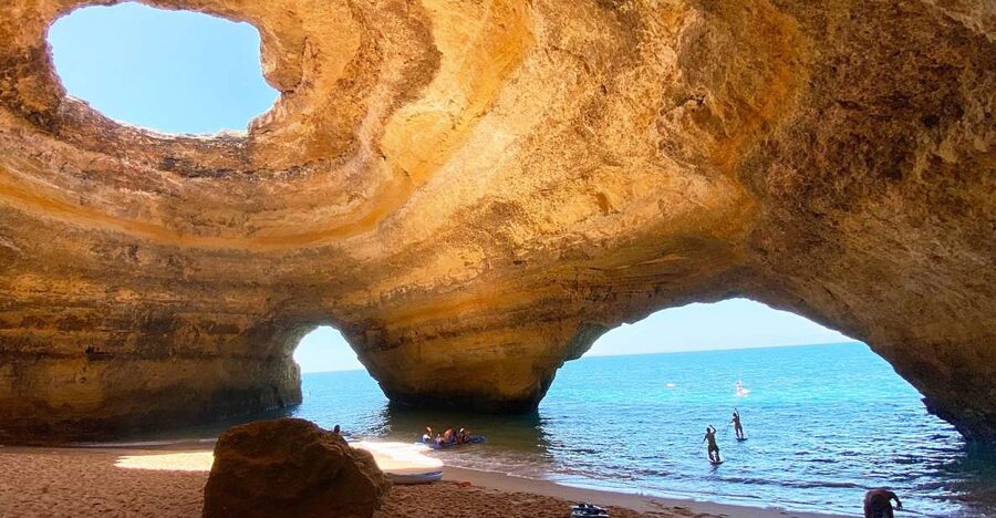Albufeira: Benagil Caves & Dolphin Watching Speed Boat Tour - Price and value: is $40 per person a good deal?