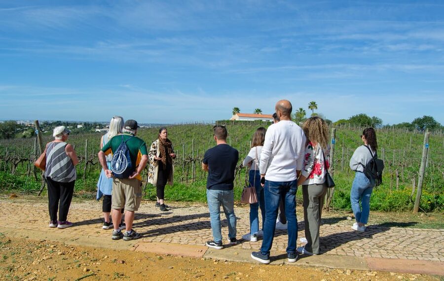 Albufeira: City Highlights & WINE TASTING - Key highlights you’ll actually feel