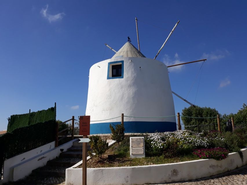 Albufeira Countryside Tuk Tuk Tour - Medronho tasting and the orange plantations on the return