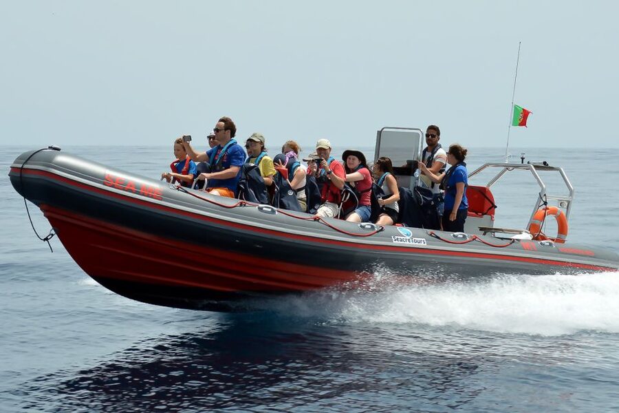 Albufeira: Dolphin Watching and Benagil Cave Boat Cruise - Key things that make this cruise worth your time
