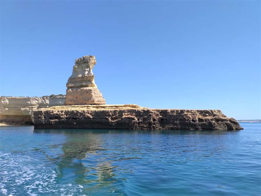 Albufeira: Dolphin Watching and Benagil Cave Boat Cruise - Who This Cruise Fits Best (and Who Might Skip It)