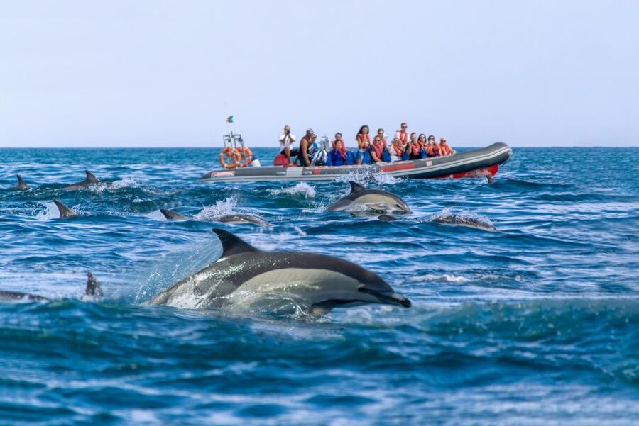 Albufeira: Dolphins, Benagil Caves and Coastline Boat Tour - Benagil Caves and the Algarve Coast: Why RIB Access Changes the Trip