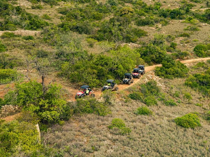 Albufeira: Full Day Off-Road Buggy Tour with Lunch & Guide - H2: Quinta do Freixo Lunch on an Organic Farm (Jams First)