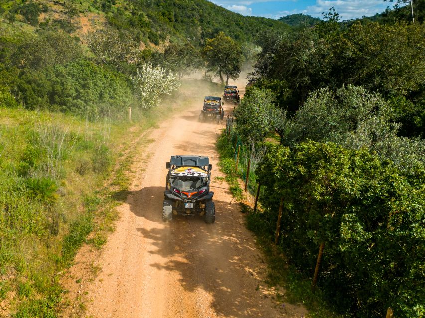 Albufeira: Off-Road Buggy Adventure - Who This Tour Fits Best (and Who Should Skip It)