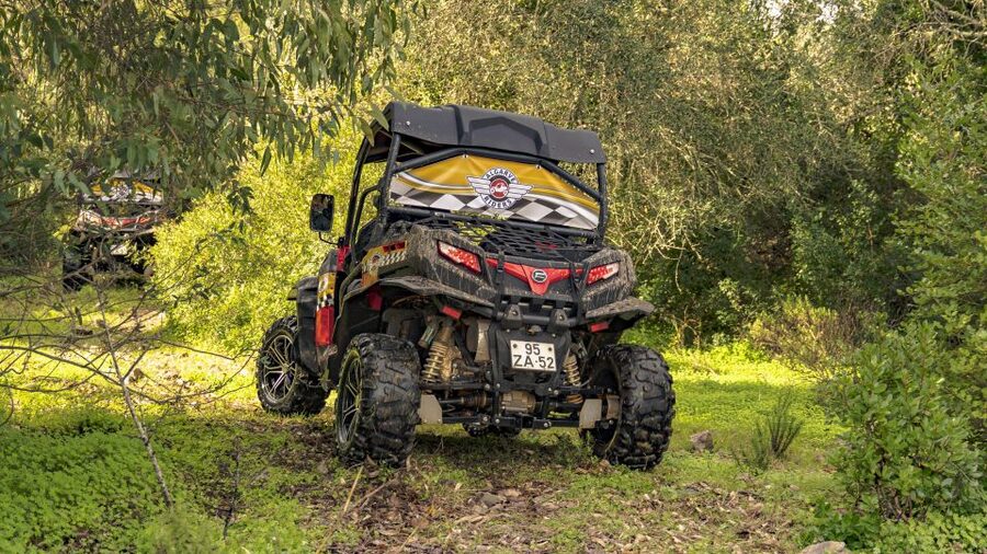 Albufeira: Off-Road Buggy Adventure - The Countryside Route: Where the Algarve Goes Off Script