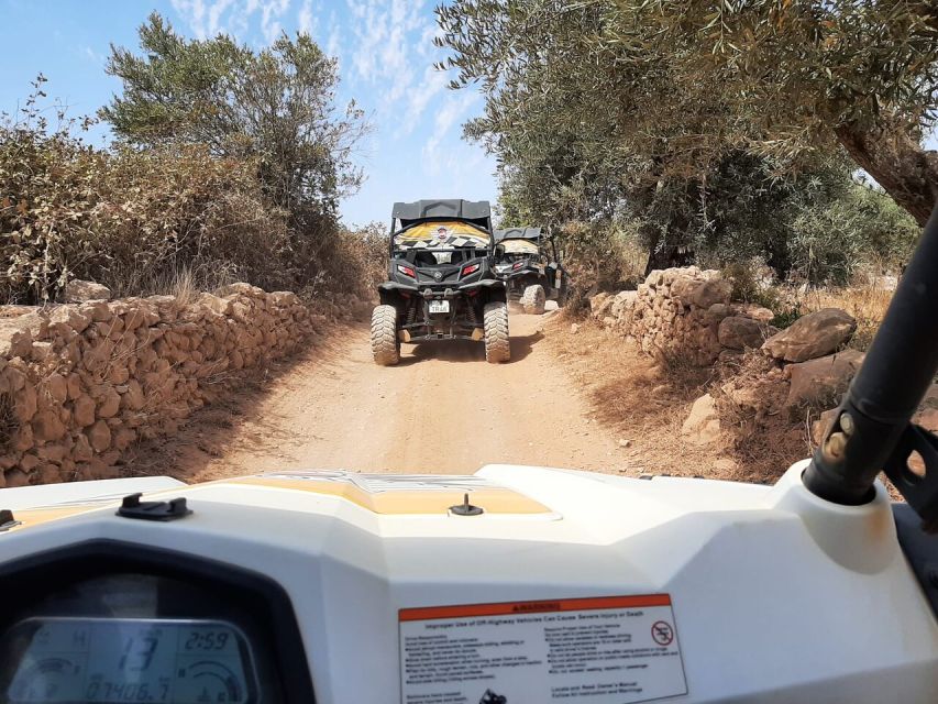Albufeira: Off-Road Buggy Adventure - Price and Value: Why $140 Per Group Can Make Sense