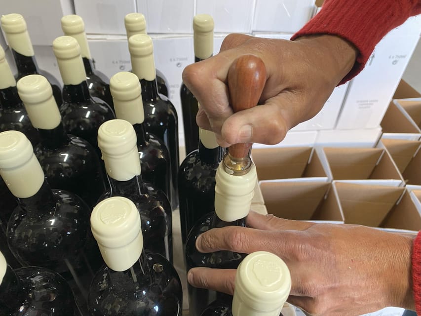 Albufeira/Porches/Vilamoura: Wine Tasting with Tapas & Music - Shopping Time: Buying Local Bottles Without the Pressure