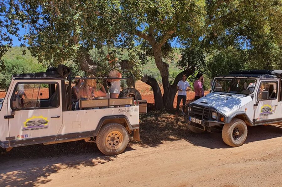 Albufeira: Safari Excursion in the Algarve Mountains - Price and value: what $47 buys you in real terms