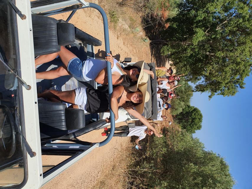 Albufeira: Safari Excursion in the Algarve Mountains - Pico Alto panoramic swing and the last big viewpoint
